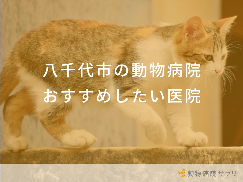 八千代市の動物病院おすすめしたい医院