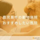 鹿児島市の動物病院 おすすめしたい医院