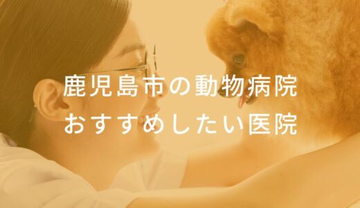 【2025年】鹿児島市の動物病院  おすすめしたい6医院