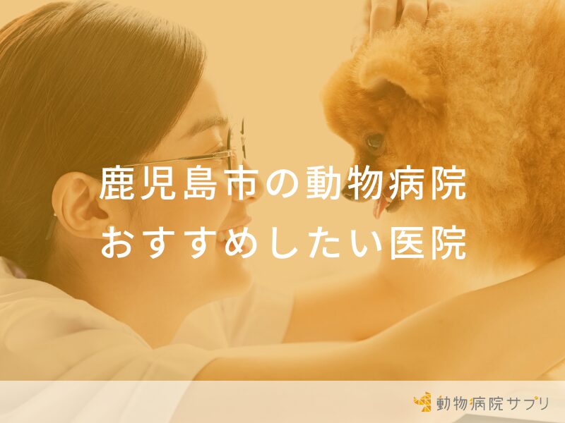鹿児島市の動物病院 おすすめしたい医院