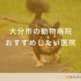 大分市の動物病院おすすめしたい医院