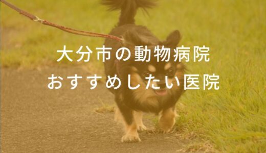 【2024年】大分市の動物病院 おすすめしたい6医院