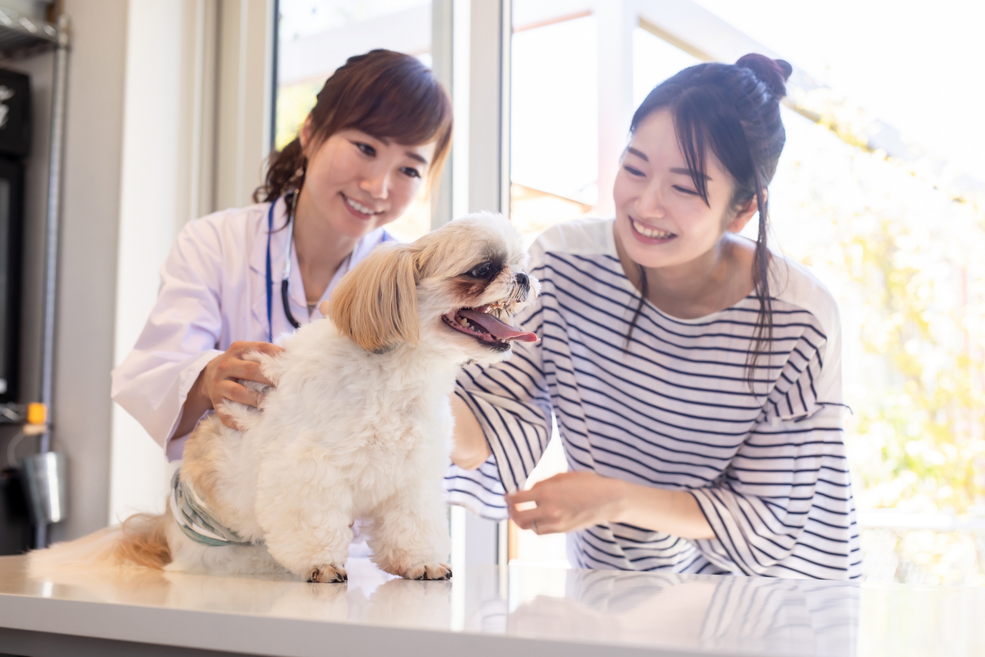 獣医さんと飼い主