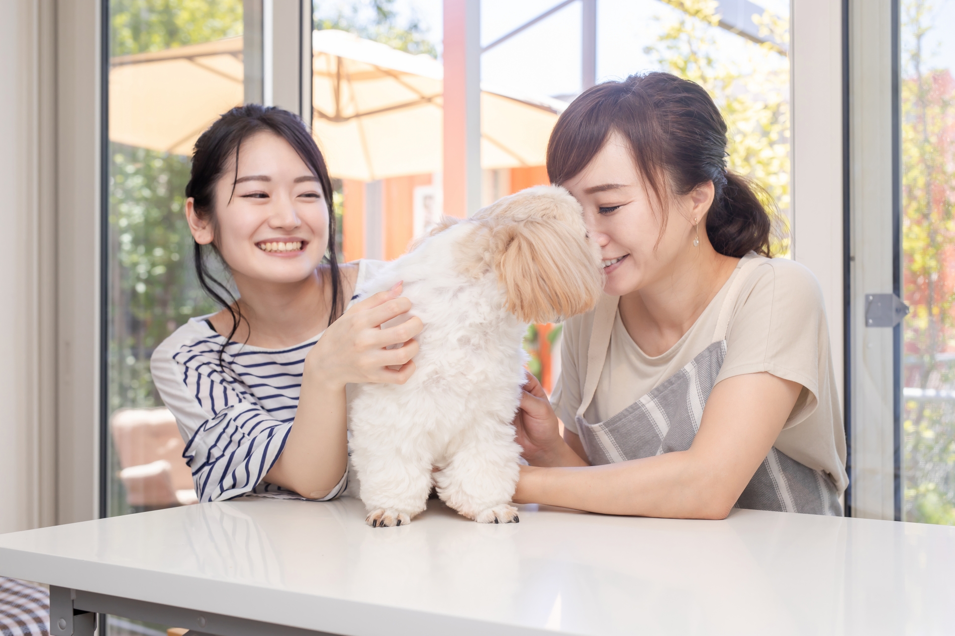 愛犬と遊ぶ女性