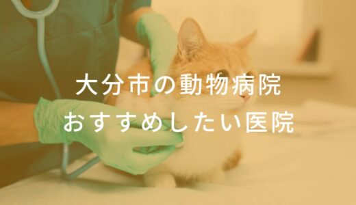 【2025年】大分市の動物病院 おすすめしたい6医院