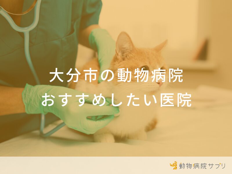 大分市の動物病院 おすすめしたい医院