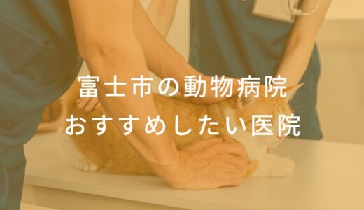 【2025年】静岡県富士市の動物病院 おすすめしたい6医院