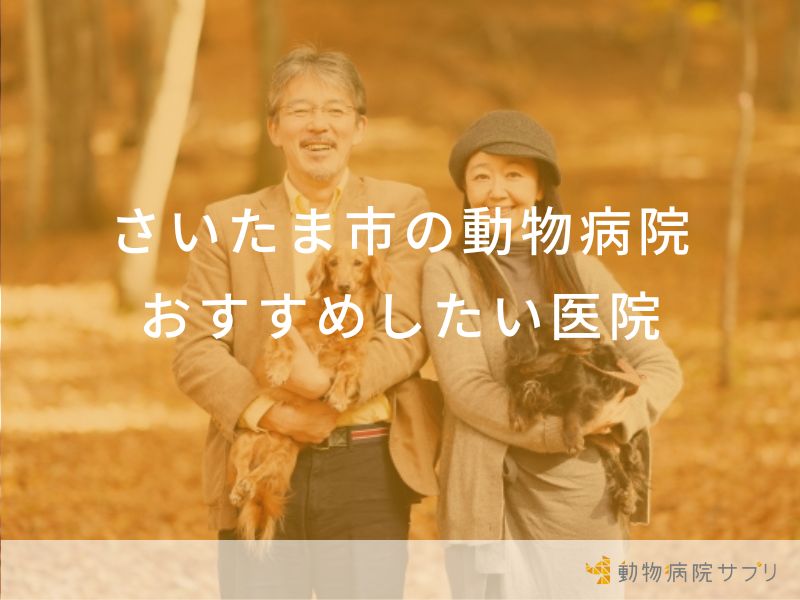 さいたま市の動物病院おすすめしたい医院