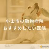 小山市の動物病院 おすすめしたい医院