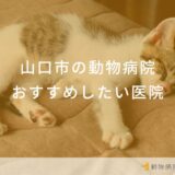 山口市の動物病院おすすめしたい医院