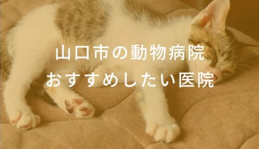 【2024年】山口市の動物病院 おすすめしたい6医院