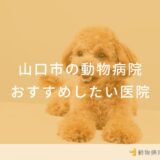山口市の動物病院 おすすめしたい医院