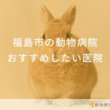 福島市の動物病院おすすめしたい医院