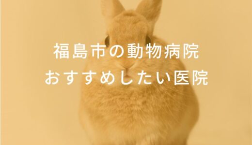 【2024年】福島市の動物病院  おすすめしたい6医院