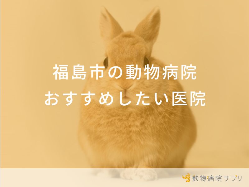 福島市の動物病院おすすめしたい医院