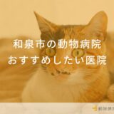 【2024年】和泉市の動物病院 おすすめしたい6医院