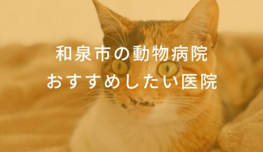 【2024年】和泉市の動物病院 おすすめしたい6医院