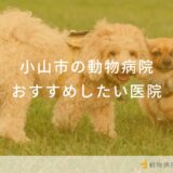 小山市の動物病院おすすめしたい医院