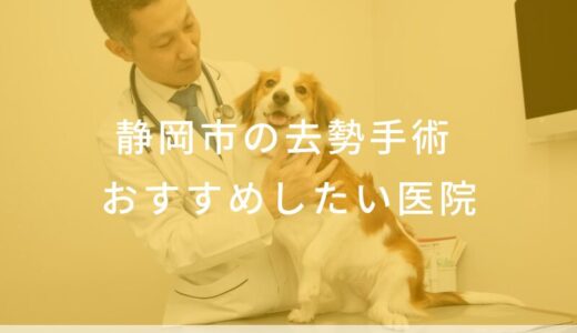 【2025年】静岡市の去勢手術の動物病院 おすすめしたい6医院