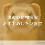 津市の動物病院おすすめしたい医院