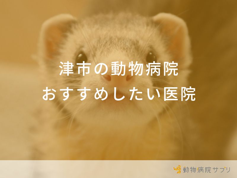 津市の動物病院おすすめしたい医院