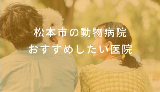 【2024年】松本市の動物病院 おすすめしたい6医院