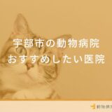 【2024年】宇部市の動物病院 おすすめしたい3医院