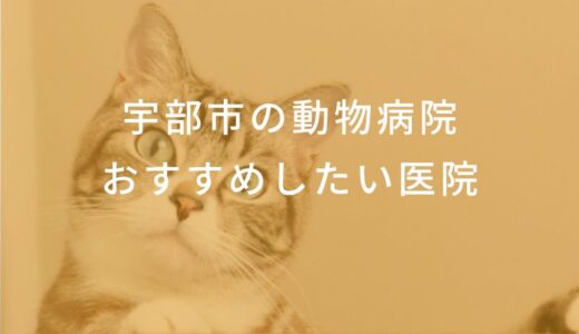 【2024年】宇部市の動物病院 おすすめしたい3医院