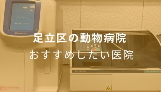 【2024年】足立区の動物病院 おすすめしたい5医院