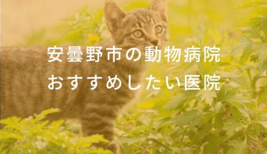 【2024年】安曇野市の動物病院 おすすめしたい5医院