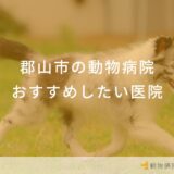 【2024年】郡山市の動物病院 おすすめしたい6医院