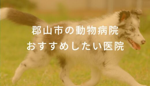 【2024年】郡山市の動物病院 おすすめしたい6医院