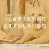 つくば市の動物病院おすすめしたい医院