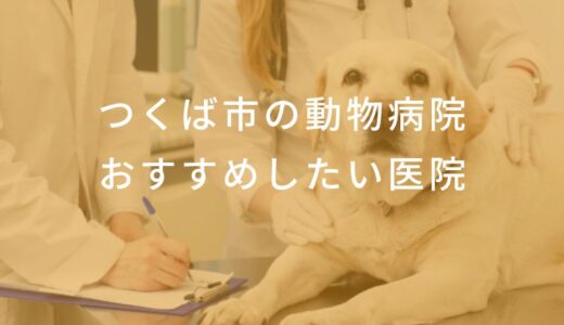 【2024年】つくば市の動物病院 おすすめしたい6医院