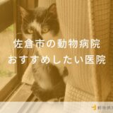 佐倉市の動物病院おすすめしたい医院