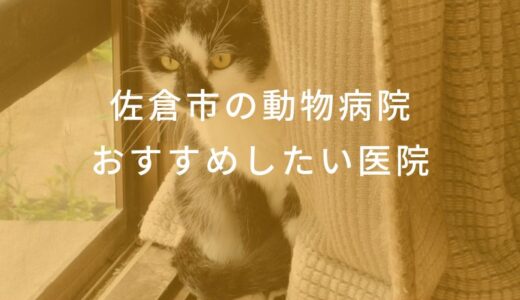 【2024年】佐倉市の動物病院 おすすめしたい6医院