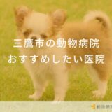 【2024年】三鷹市の動物病院 おすすめしたい6医院