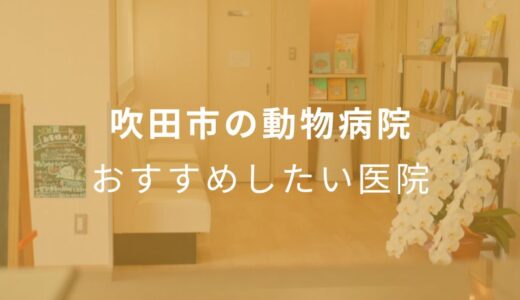 【2024年】吹田市の動物病院 おすすめしたい4医院