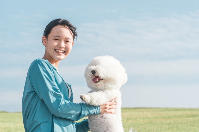 公園で犬と遊ぶ