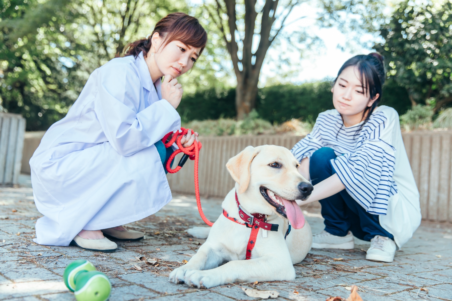 獣医と飼い主