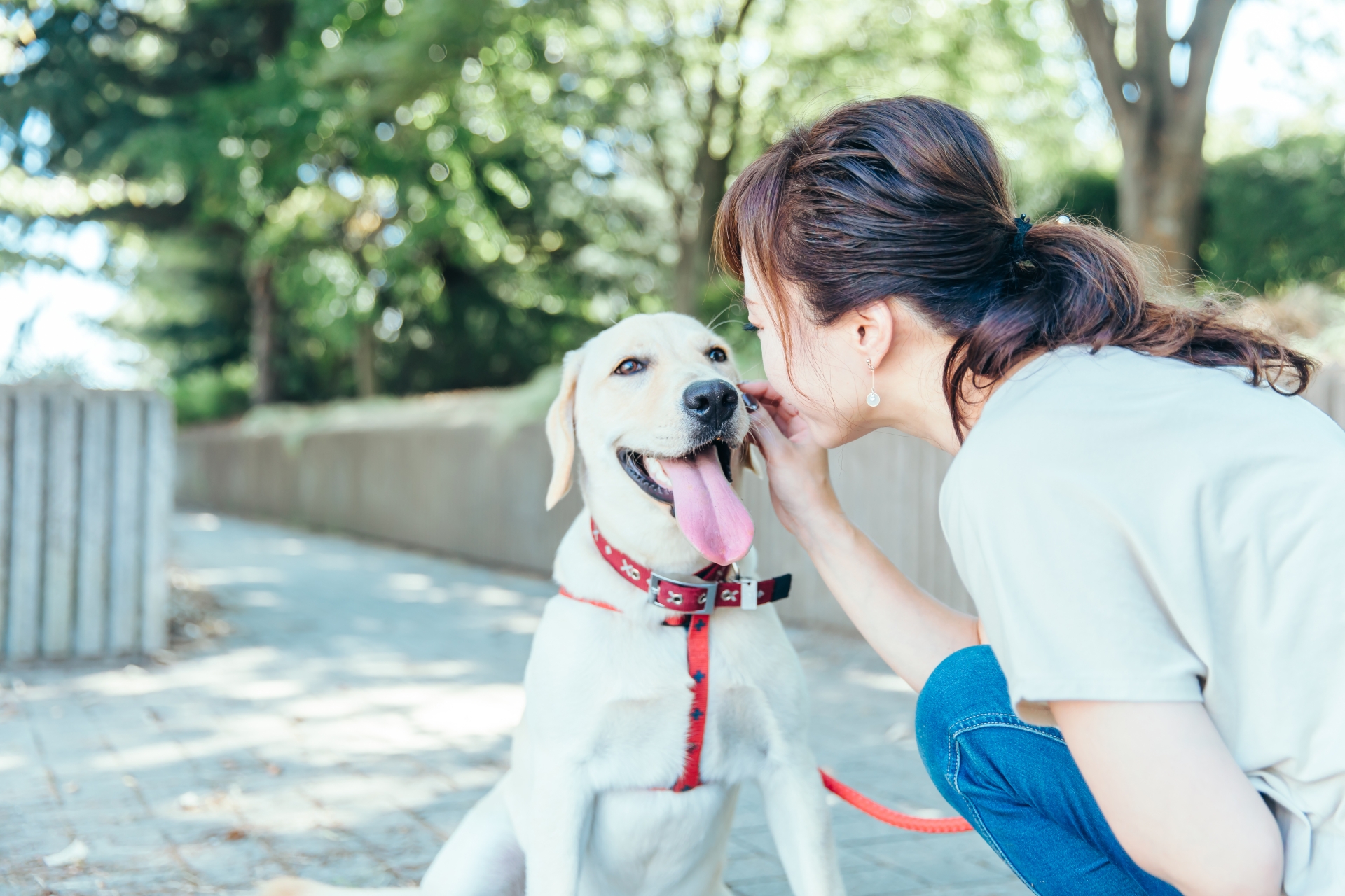 飼い主と散歩する犬