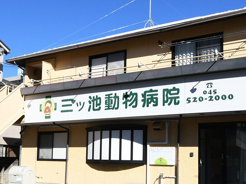 三ッ池動物病院