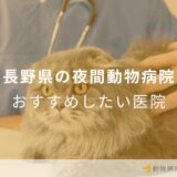 長野県の夜間動物病院 おすすめしたい医院