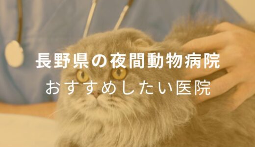 【2024年】長野県の夜間動物病院 おすすめしたい2医院