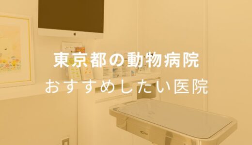 【2024年】東京都の動物病院 おすすめしたい6医院