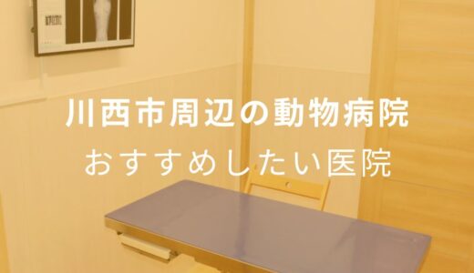 【2024年】川西市周辺の動物病院 おすすめしたい5医院