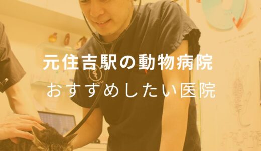 【2024年】元住吉駅の動物病院 おすすめしたい6医院