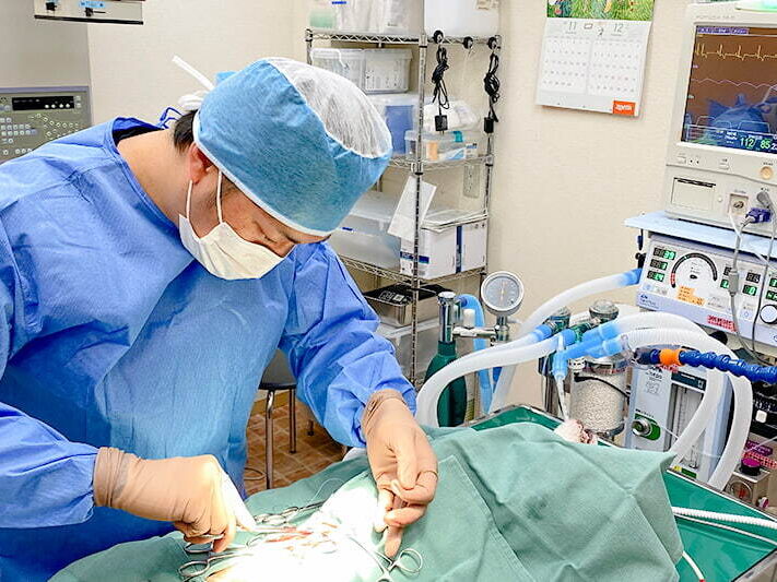 よつばアニマルクリニック