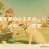 東京都のおすすめしたい犬のしつけ教室