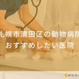 札幌市清田区の動物病院 おすすめしたい医院